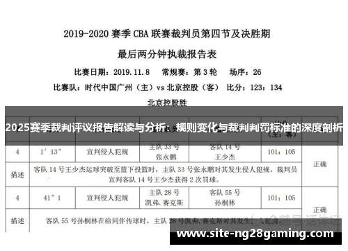 2025赛季裁判评议报告解读与分析：规则变化与裁判判罚标准的深度剖析
