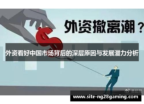 外资看好中国市场背后的深层原因与发展潜力分析