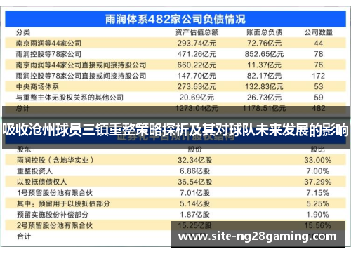 吸收沧州球员三镇重整策略探析及其对球队未来发展的影响