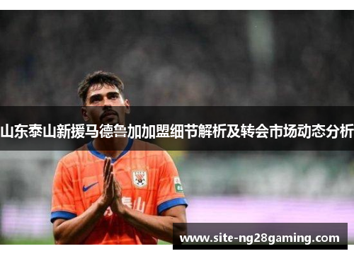 山东泰山新援马德鲁加加盟细节解析及转会市场动态分析