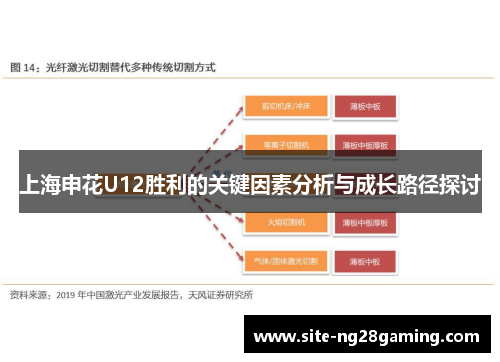 上海申花U12胜利的关键因素分析与成长路径探讨