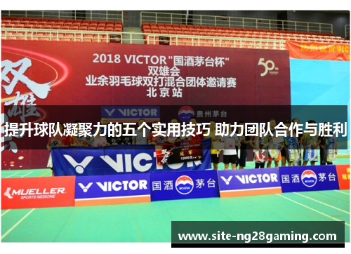 提升球队凝聚力的五个实用技巧 助力团队合作与胜利