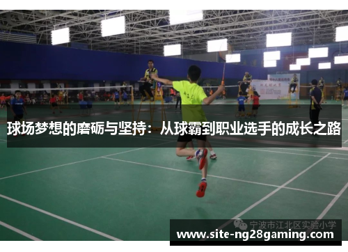 球场梦想的磨砺与坚持：从球霸到职业选手的成长之路