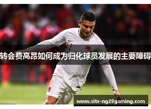 转会费高昂如何成为归化球员发展的主要障碍