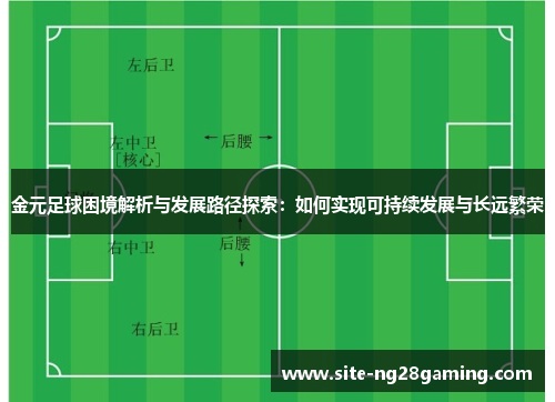 金元足球困境解析与发展路径探索：如何实现可持续发展与长远繁荣