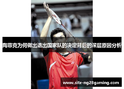 陶菲克为何做出退出国家队的决定背后的深层原因分析