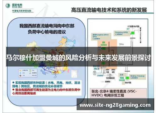 马尔穆什加盟曼城的风险分析与未来发展前景探讨